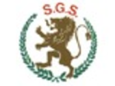 S.g.s (Sécurité Gardiennage Télésurveillance)